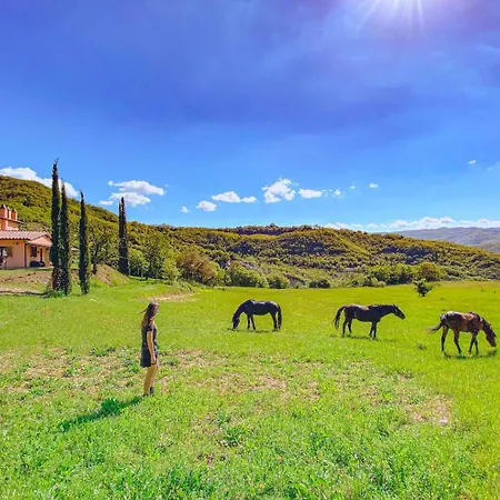 Ca' Dei Lanari, Paradiso Allori - 10 Min Da Assisi
